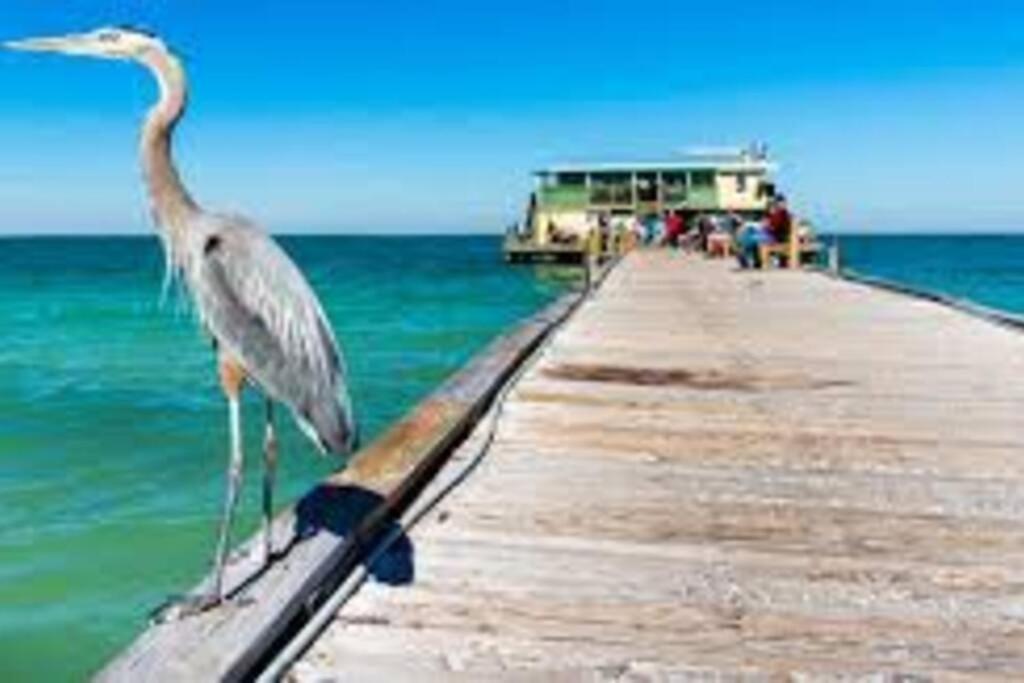 Waterview Oasis Retreat, Minutes To Anna Maria Island And Img Lejlighed Bradenton Eksteriør billede